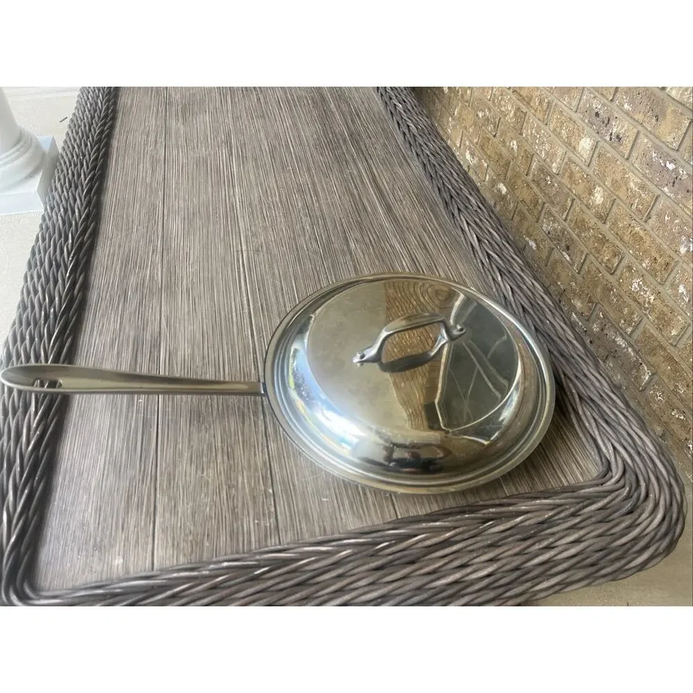 All-Clad Stainless Steel 10